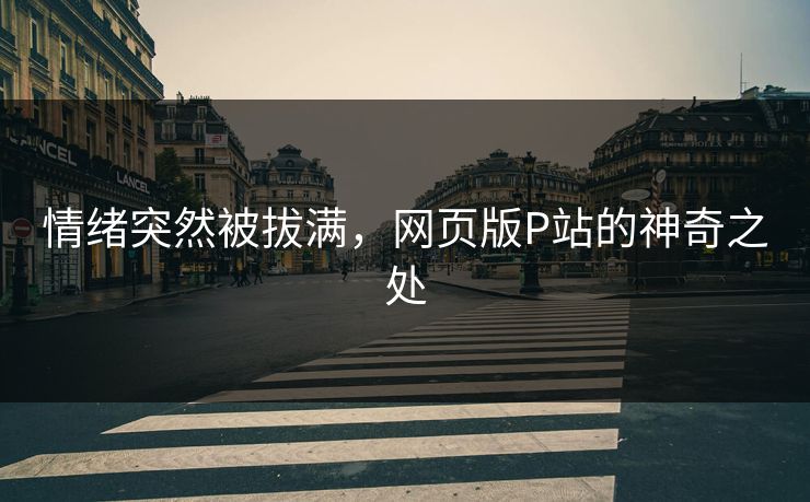 情绪突然被拔满,网页版P站的神奇之处 情绪突然被拔满,网页版P站的神奇之处