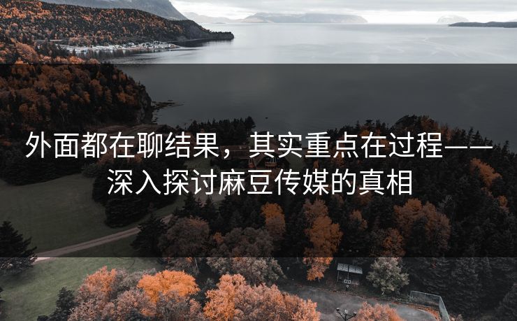 外面都在聊结果,其实重点在过程——深入探讨麻豆传媒的真相 外面都在聊结果,其实重点在过程——深入探讨麻豆传媒的真相