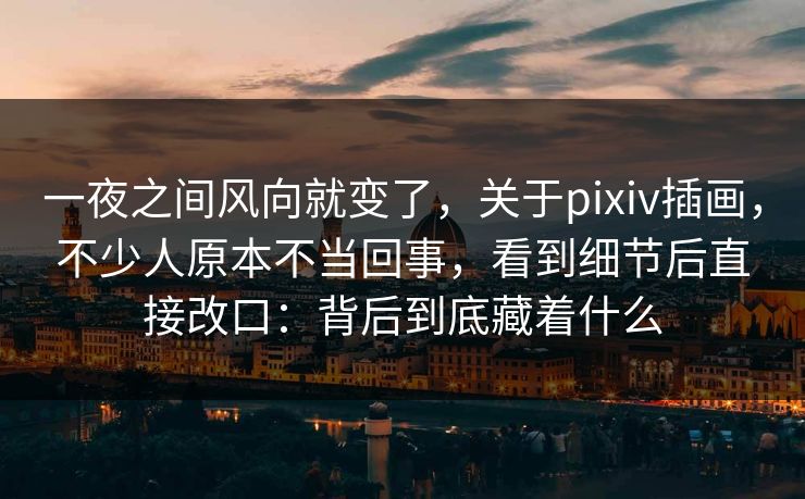 一夜之间风向就变了，关于pixiv插画，不少人原本不当回事，看到细节后直接改口：背后到底藏着什么