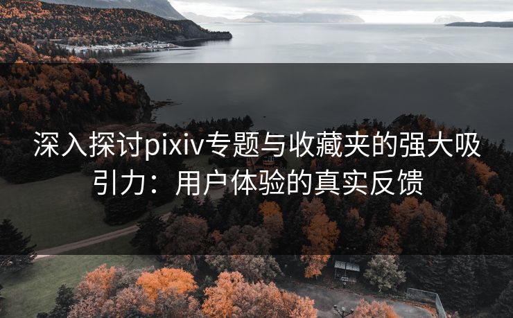 深入探讨pixiv专题与收藏夹的强大吸引力:用户体验的真实反馈 深入探讨pixiv专题与收藏夹的强大吸引力:用户体验的真实反馈