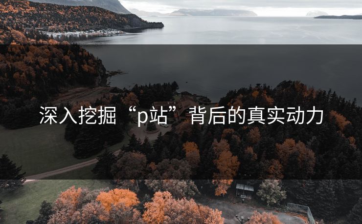 深入挖掘“p站”背后的真实动力 深入挖掘“p站”背后的真实动力