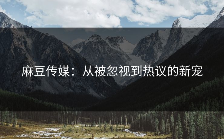 麻豆传媒:从被忽视到热议的新宠 麻豆传媒:从被忽视到热议的新宠